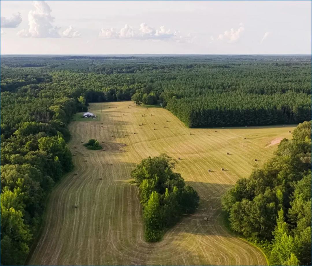 205 Acres in Madison County in Camden, MS