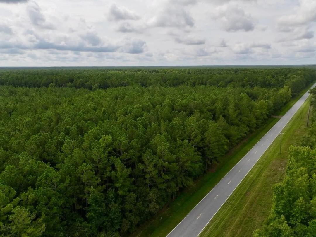 9.61 acre Potential Homesite and Timber Land For Sale in Greene County NC!
