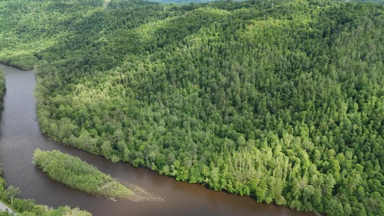 Over 91 Acres Along the Cheat River in Preston Co.
