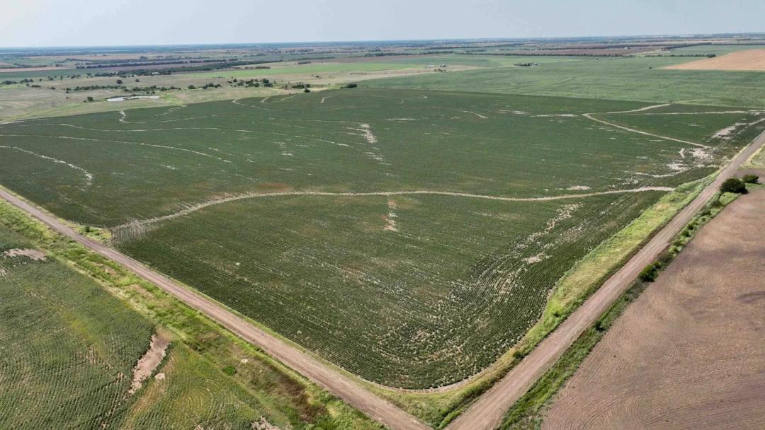 157.6± Acres Cropland with Class II Soils & More! Tract 3 of 5