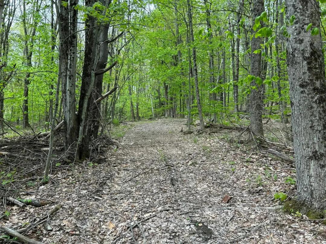 16 Acres of Land for Sale in Lewiston, ME