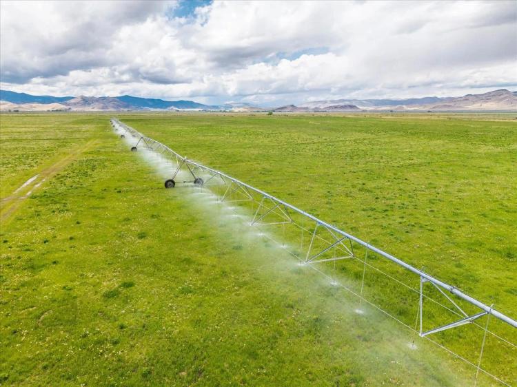 Homestead Ranch Saguache Property For Sale