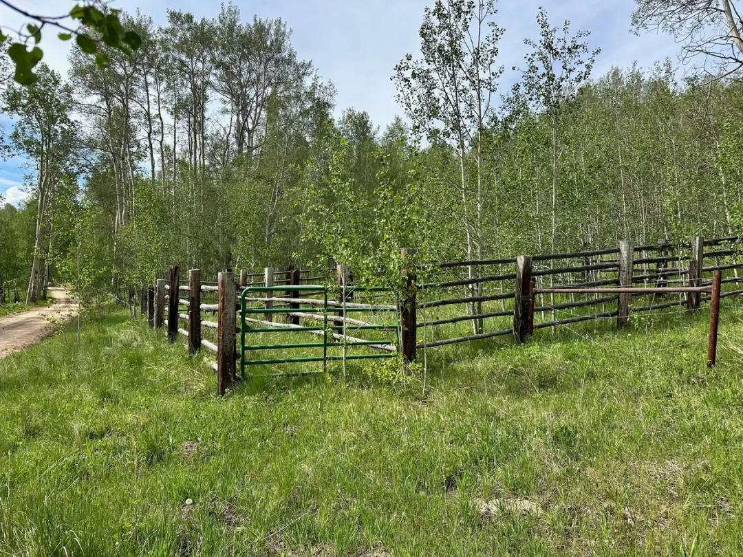 40 Acres of Prime Hunting & Mountain Land – Gunnison Highlands North