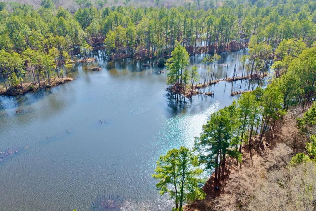Bowie County, TX - 468 ± Acres