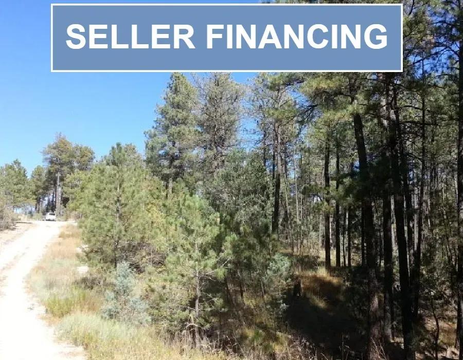 New Mexico, Otero County, 0.55 Acres Timberon Unit 13, Block 175, Lot 55. TERMS 50% OFF (now) $25/Month