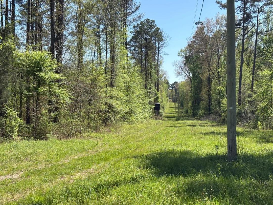 76 acre timber/hunting tract joining Natchez Trace