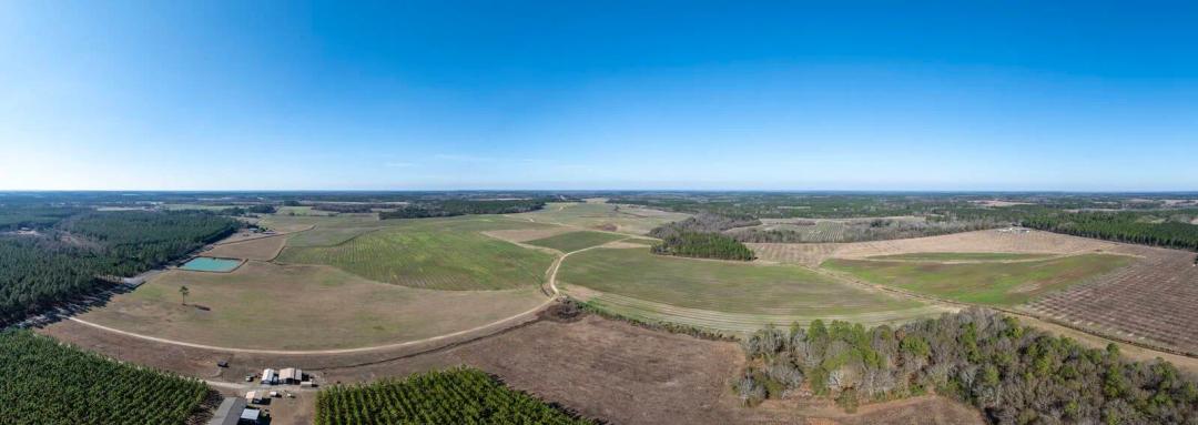 263± Acres | Row Crops, Hay, Pecans &amp; Timber in Dooly County