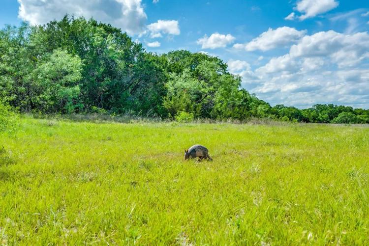 TBD County Road 175, Stephenville, Texas 76401