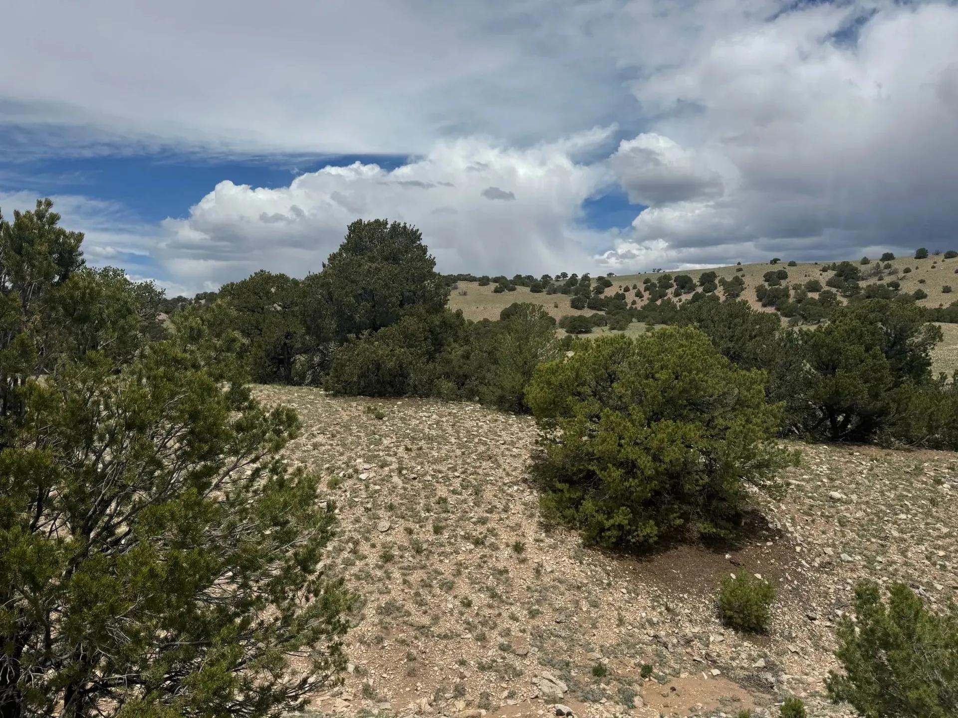 98980099-3