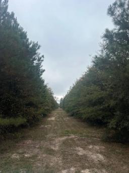 98983262-6