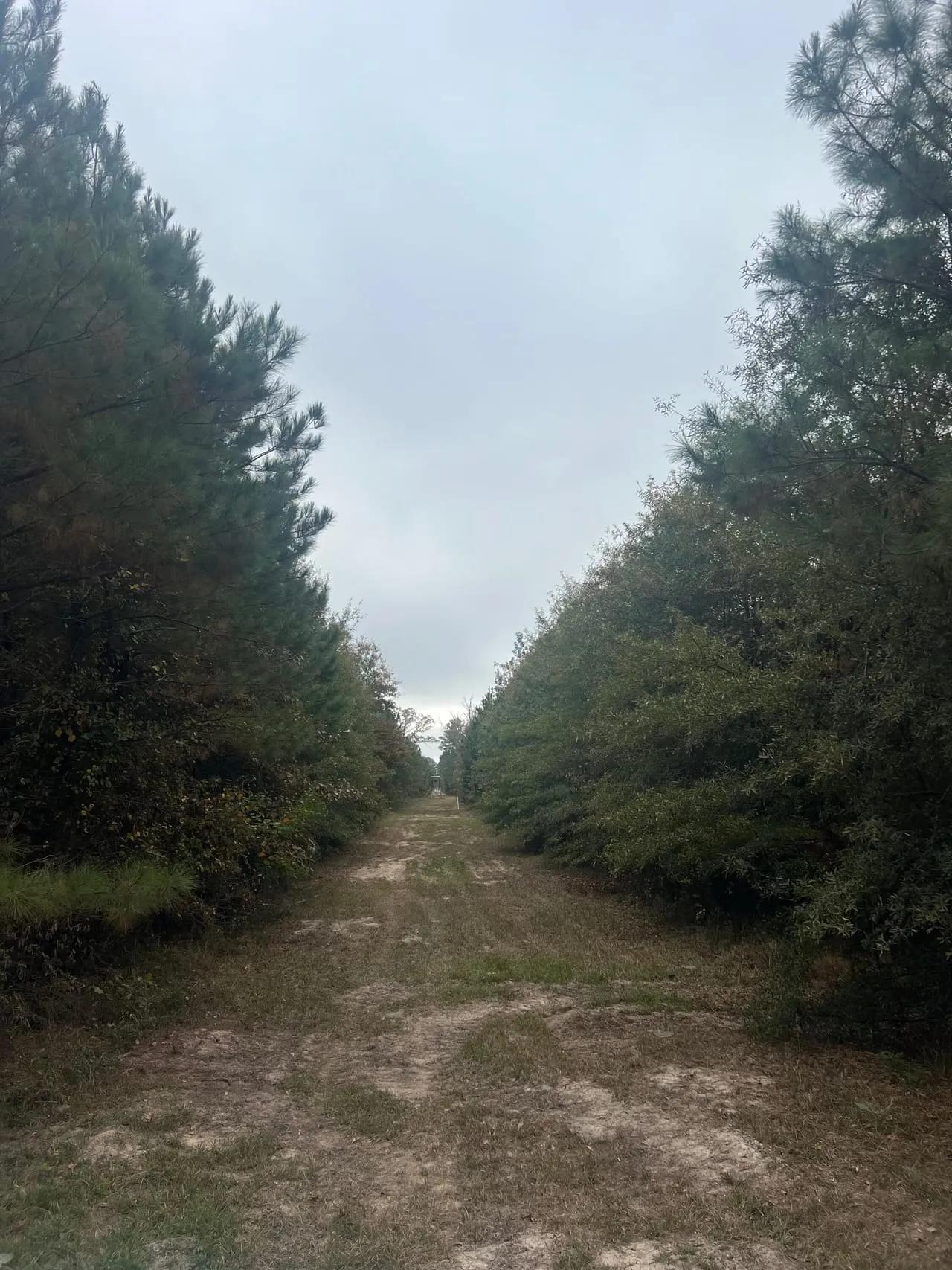 98983262-6