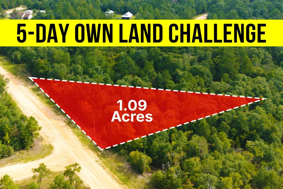 Own A 1.09-Acre No HOA Lot In FL, Near Paved Road - Owner Financing