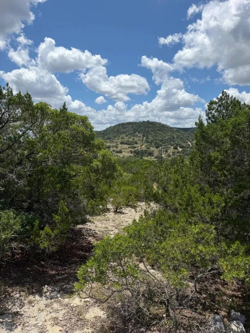 Madrone Ridge