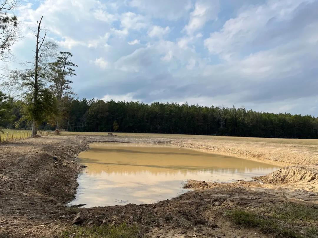 Large Homesite with a Pond in X Flood zone (Lot D-5)