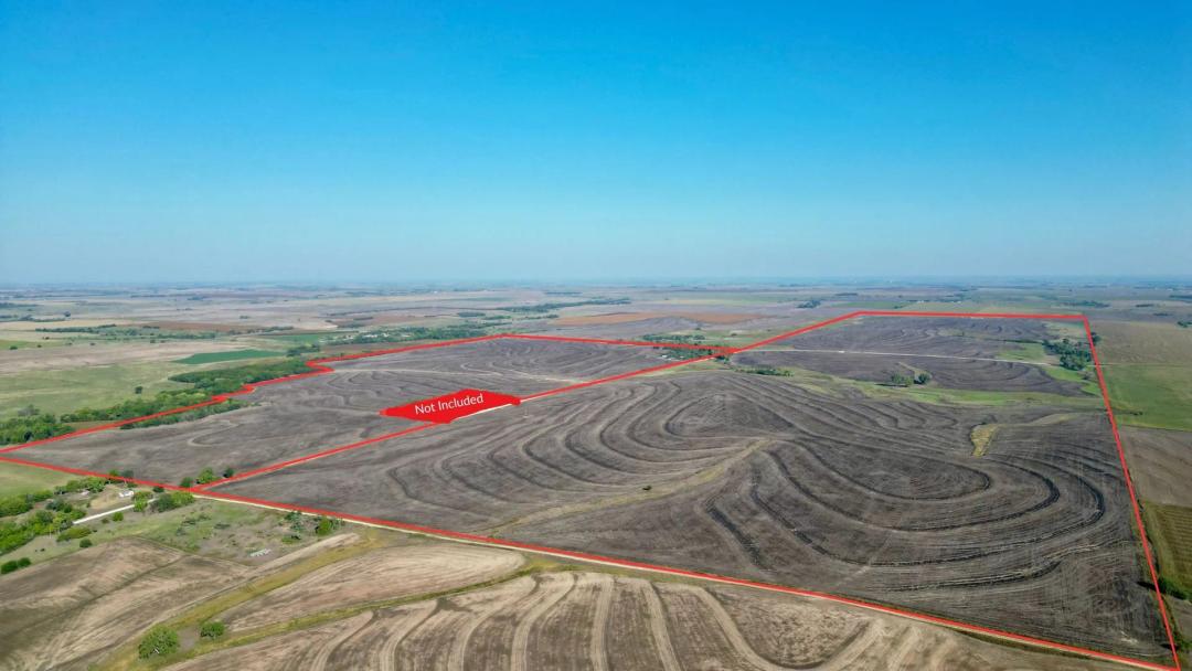 Hammer Farms