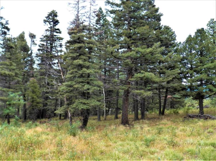 TBD W Spanish Peaks Drive Unit 5 Lot 1, Aguilar, CO 81020