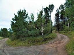 99044318-11