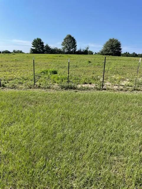 28.92 Acres Glenwood AL Great Homesite or Recreational site