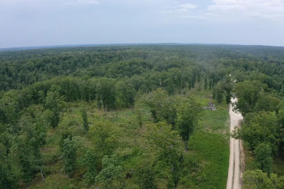99065373-7
