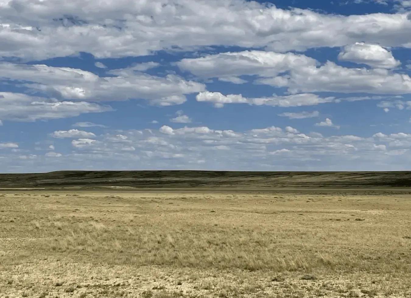 99065769-2