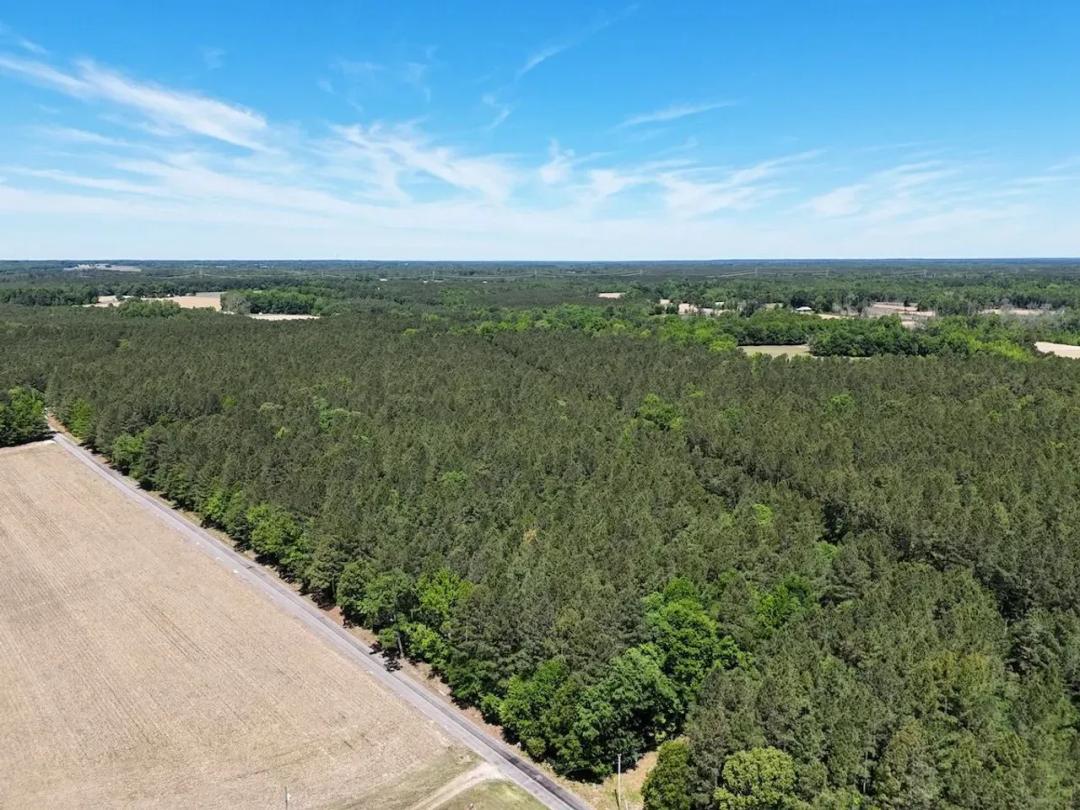 UNDER CONTRACT!!  28 Acres of Residential and Recreational Land for Sale in Sussex County VA!