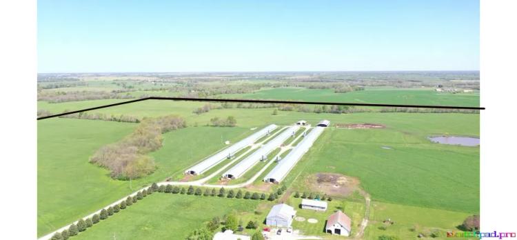 190+/- Acre Premier 6 House Broiler Breeder Farm with 3 Homes