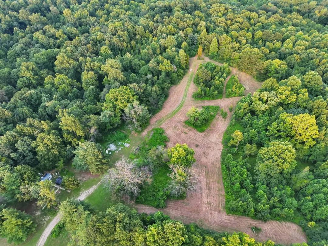 20.00 Acres at 4467 Boyd Road