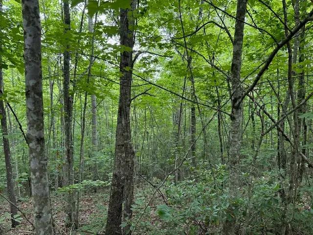 Lot 371 East Obey Lane