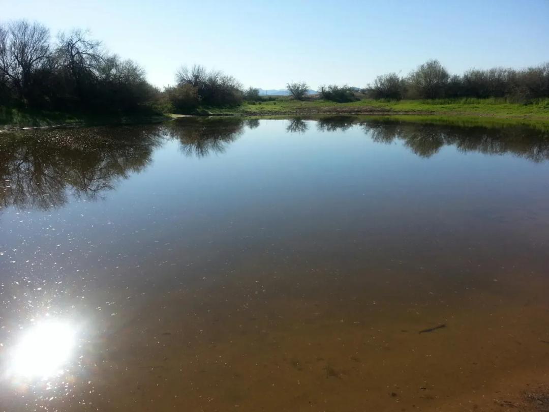 Ephemeral Only- Arnold Allotment- Buckeye AZ