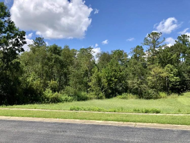 0.35 Acres at 32947 Boardwalk Drive
