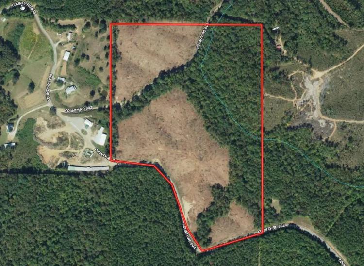 44.2 acres in Randolph County