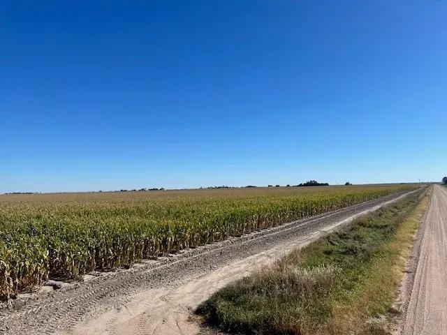 99134160-1