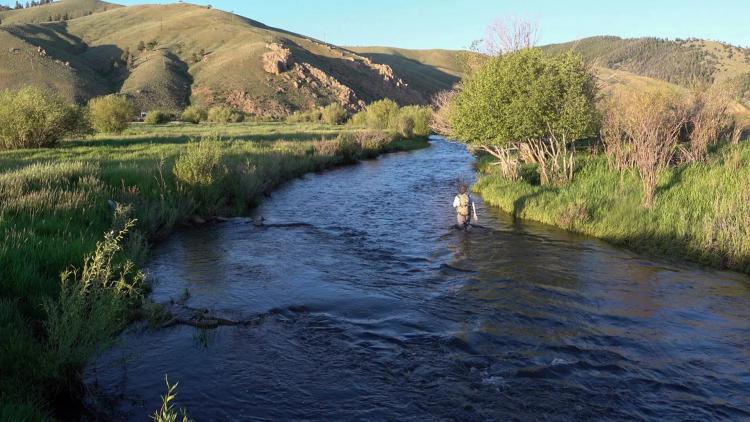 Trout Garden on Tomichi Creek
