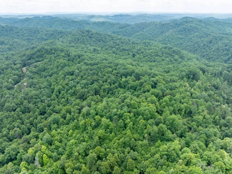 44 Wooded Acres in Wyoming Co.