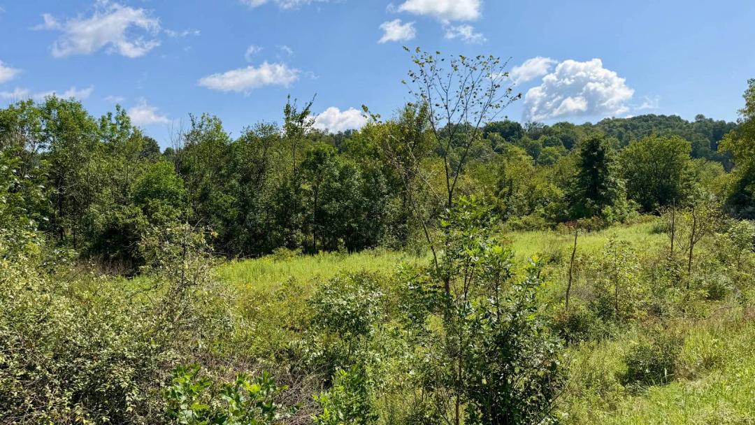 6 acres located between Piedmont Lake and Clendening Lake