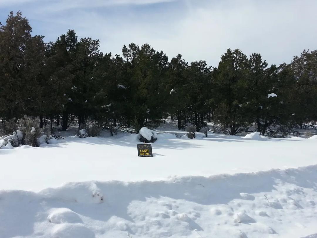 Treed parcel - San Pedro Estates Regina New Mexico - Views of Cliffs
