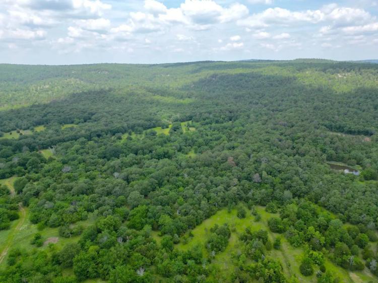 Acreage For Sale in Daisy, Oklahoma!