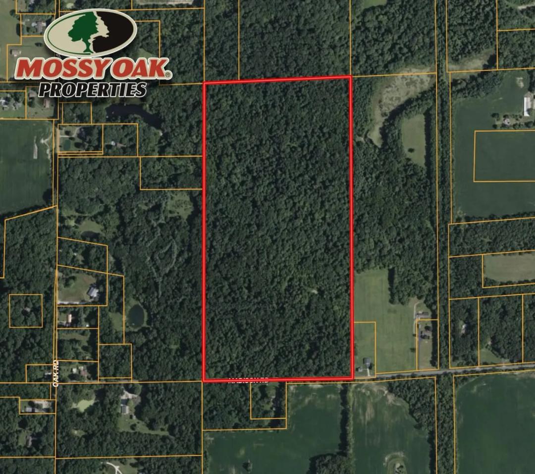 80± Acres of Wooded Land for Sale – Madison Road, St. Joseph County, South Bend, Indiana