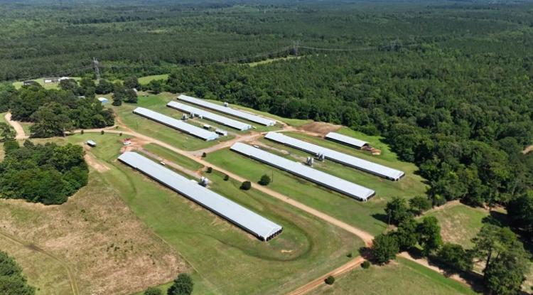 6 House Broiler Poultry Farm Dubach, Louisiana
