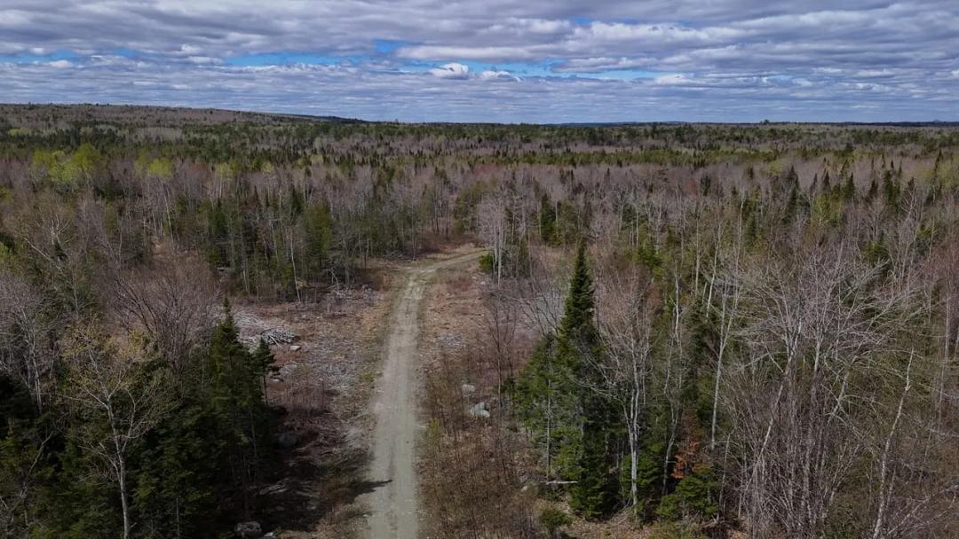 Off Grid or On Grid, 40 Acres of Land with Big Potential