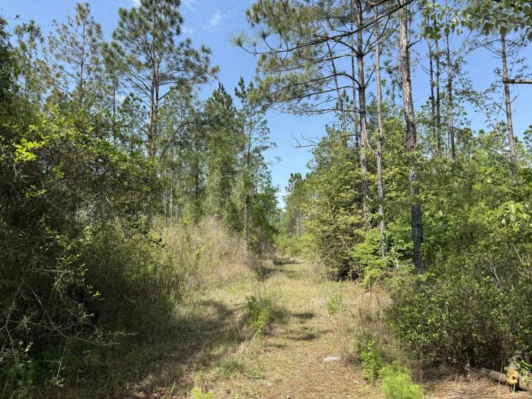 Holmes County, FL