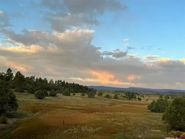 Meadow 18