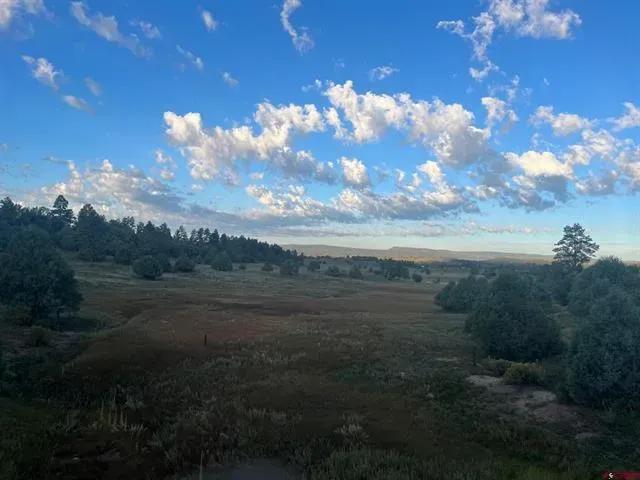 Meadow 19