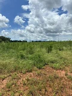 44.00 Acres at 0 HWY 85 Tract B