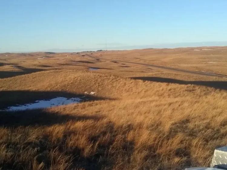 Thedford Heights