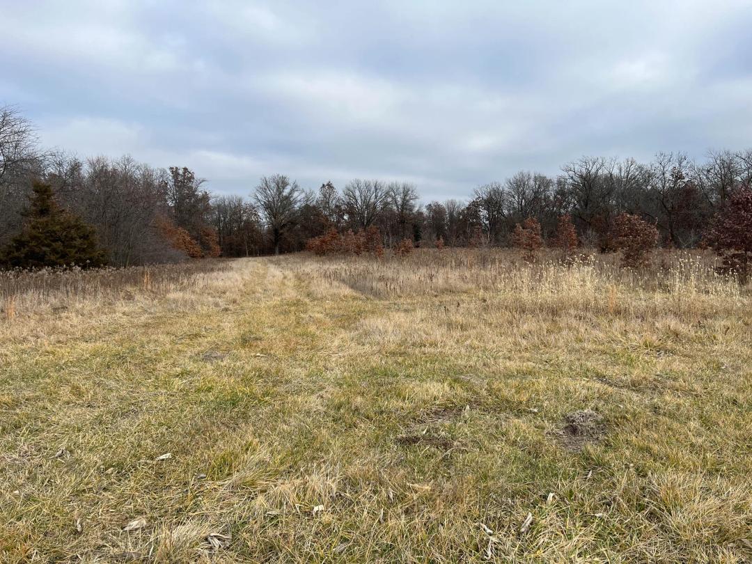 Hancock County, Illinois 40 Acres For Sale(SALE PENDING)