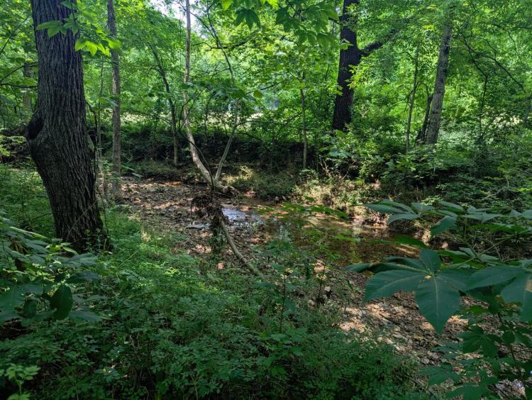 Online Auction | 11 Acres Offered as a Whole in Giles County