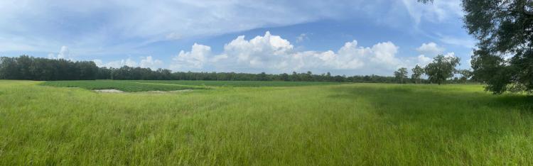 37.20 Acres at 0 S Presley Street
