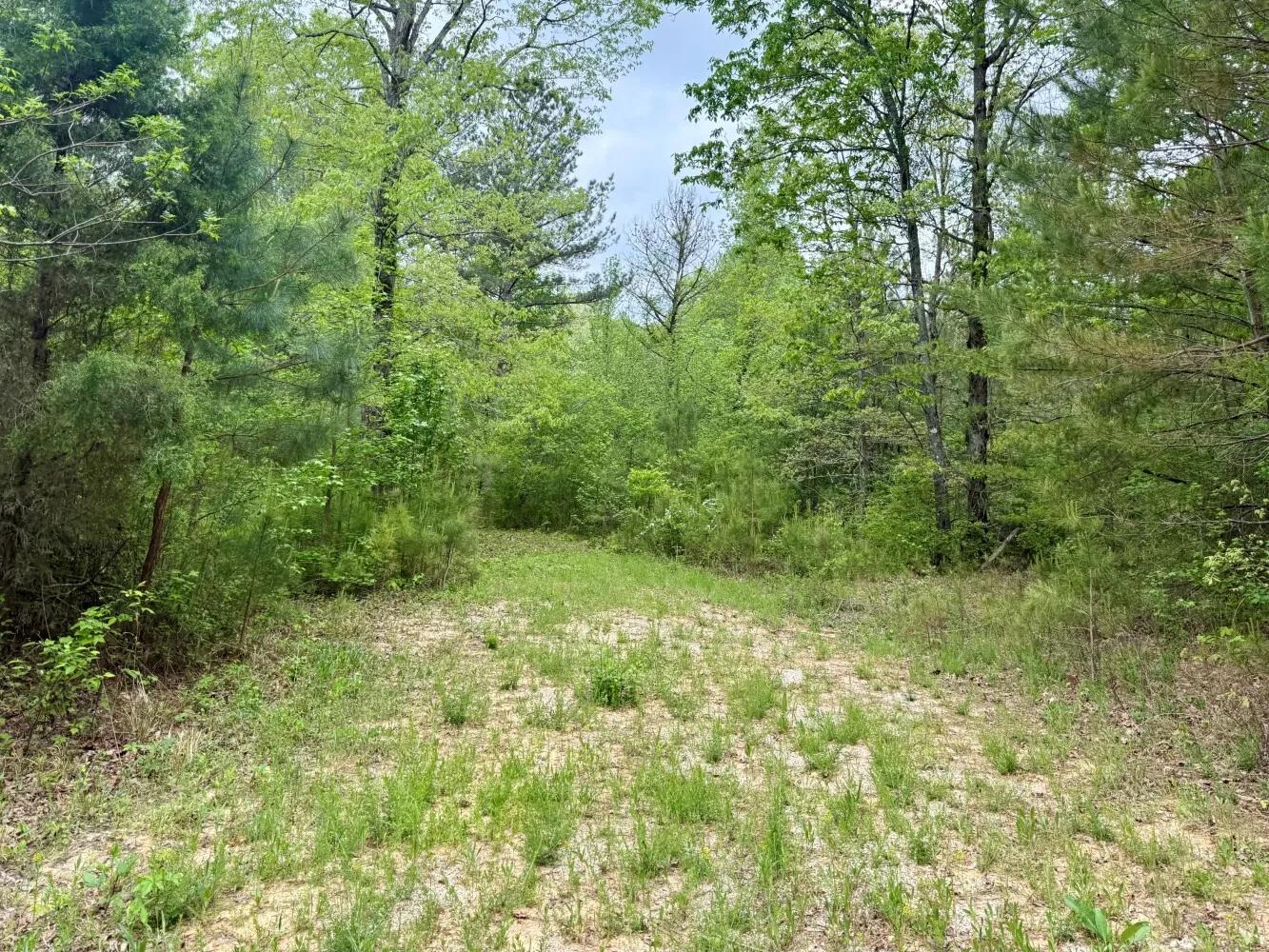 99463688-4