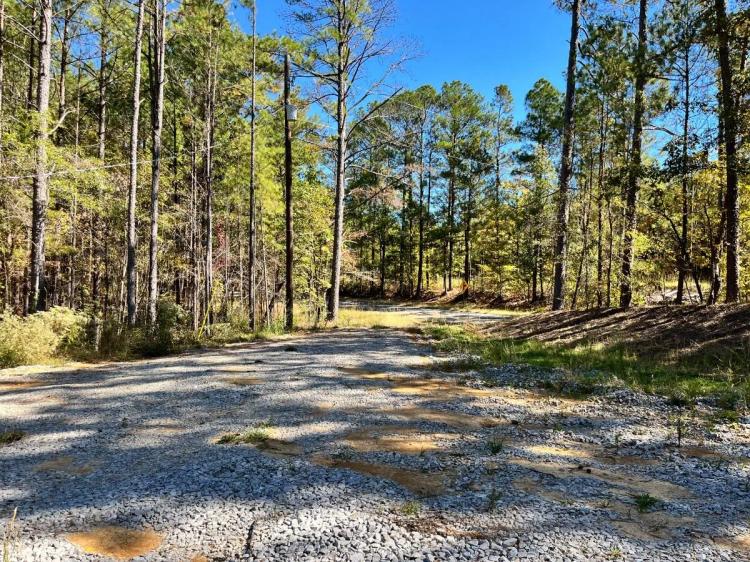 5.03 Acres at 19175 Hwy 43  N